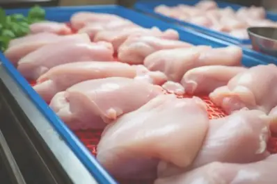 La carne aviar argentina llegará a la Unión Europea
