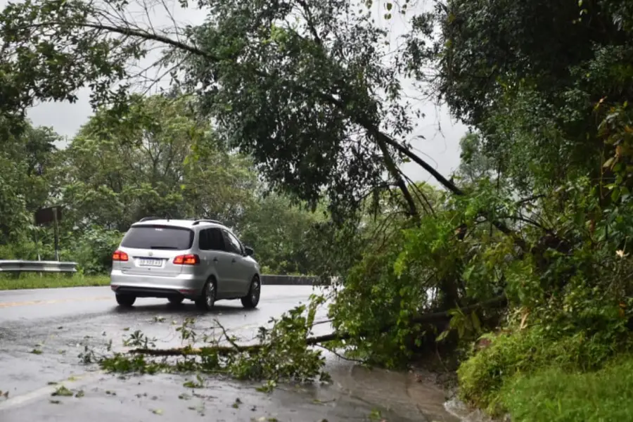 LA GACETA / FOTO DE OSVALDO RIPOLL.
