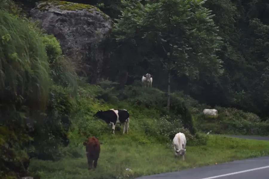 LA GACETA / FOTO DE OSVALDO RIPOLL.
