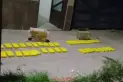 Orán: detienen a un tucumano que llevaba 38 kilos de cocaína en cajas de cartón