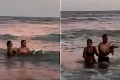 Monte Hermoso: una pareja sacó un pingüino del mar para tomarse fotografías