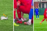Un futbolista salvó a una gaviota con RCP en pleno partido y el video se volvió viral