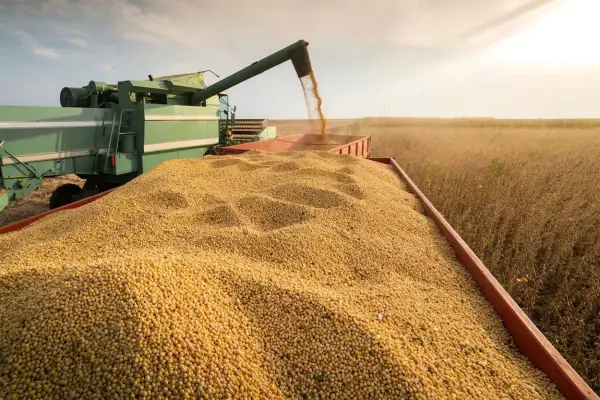 Qué factores incidieron para que la economía argentina haya cerrado 2025 con un crecimiento del 4,4%