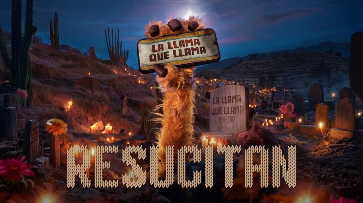 ESTÁN DE VUELTA. Las imágenes del regreso de 