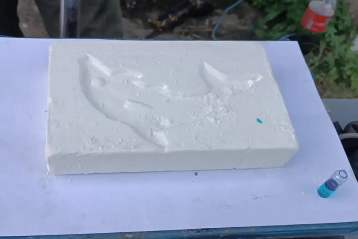 Drogas, armas y sellos de delfín: cómo operaba la banda que ocultaba en neumáticos un cargamento de cocaína valuado en 6 millones de dólares