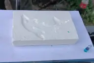 Drogas, armas y sellos de delfín: cómo operaba la banda que ocultaba en neumáticos un cargamento de cocaína valuado en 6 millones de dólares