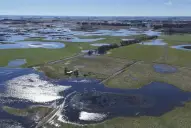 Emergencia agropecuaria: cultivos afectados en tres provincias por condiciones climáticas adversas
