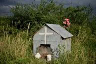 Los funcionarios que también deberían haber sido investigados por el crimen de Paulina Lebbos