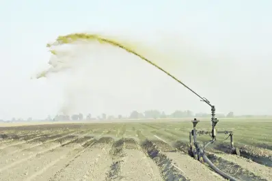 Recuperación del uso de la vinaza: de problemática ambiental a potenciador del cultivo