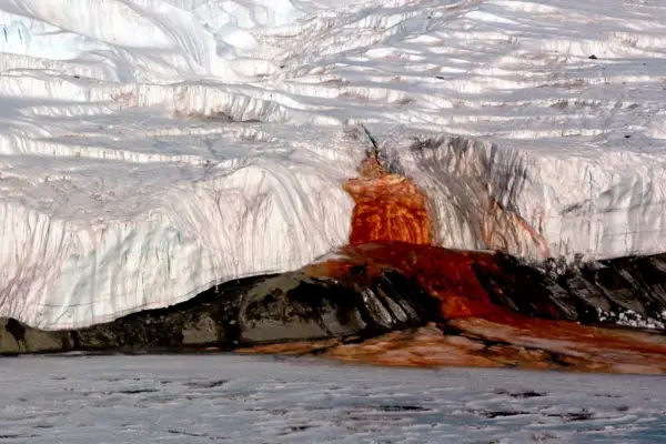 Cómo los científicos develaron el enigma centenario de las Cataratas de Sangre en la Antártida
