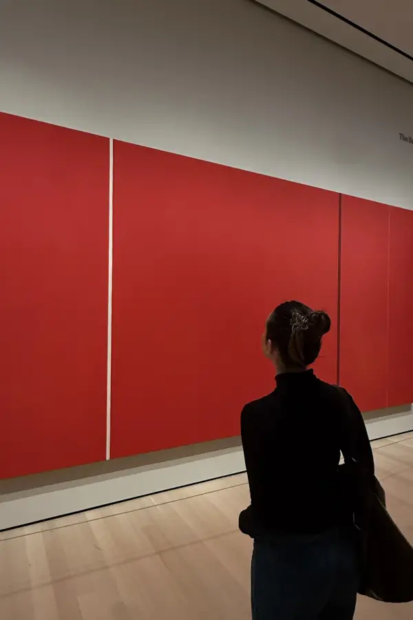 Cómo el MoMA construyó nuestra forma de mirar