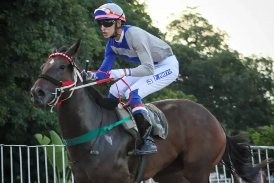 UNA APLANADORA. La potranca Holly dejó una gran impresión en su debut al adjudicarse la prueba por 11 cuerpos de diferencia.
