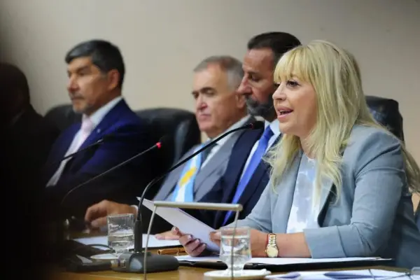 Respeto, obras y cooperación: los pedidos de ediles a Rossana Chahla