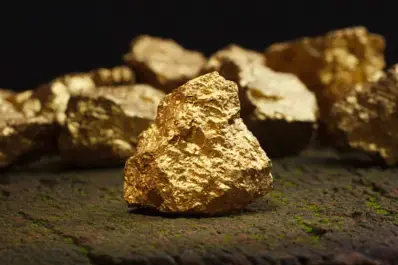 ¿Lo sabías?: hay un electrodoméstico en tu cocina que tiene oro de 22 quilates