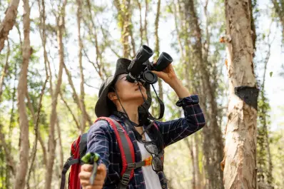 El extraño pasatiempo que puede mejorar la cognición y mantener joven el cerebro