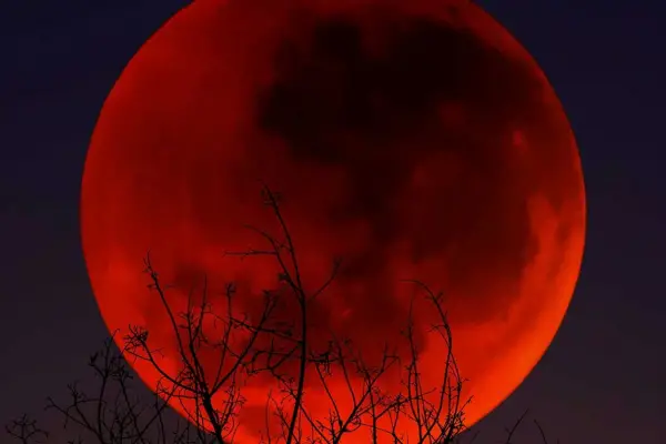 Luna de Sangre 2026: cómo afecta el eclipse a cada uno de los signos del zodíaco