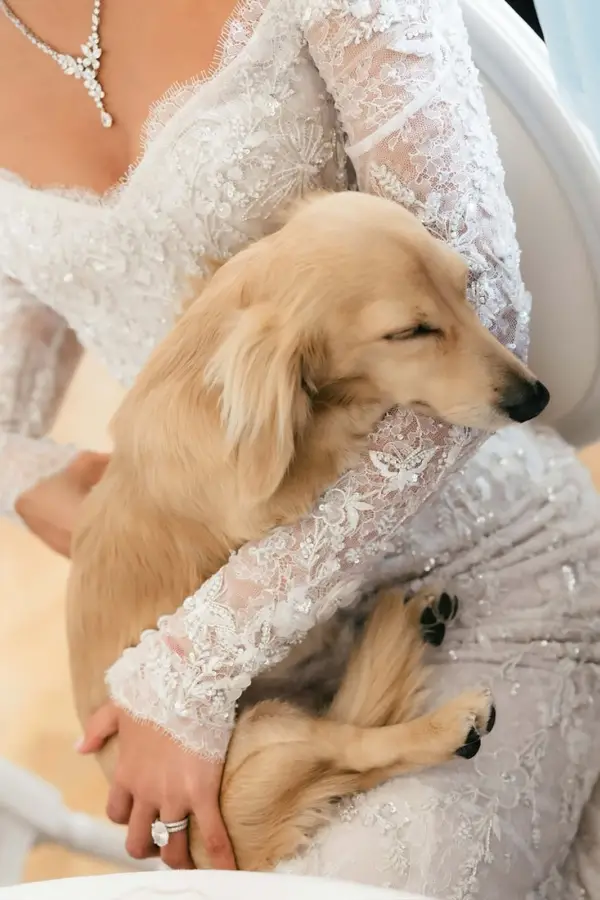 La mascota de Charles Leclerc y Alexandra Saint Mleux se convirtió en el centro de atención durante su emotivo casamiento