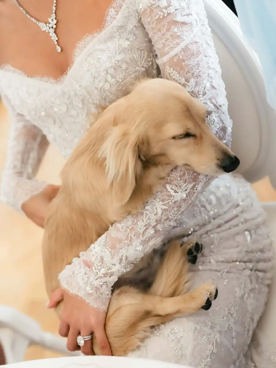 La mascota de Charles Leclerc y Alexandra Saint Mleux se convirtió en el centro de atención durante su emotivo casamiento
