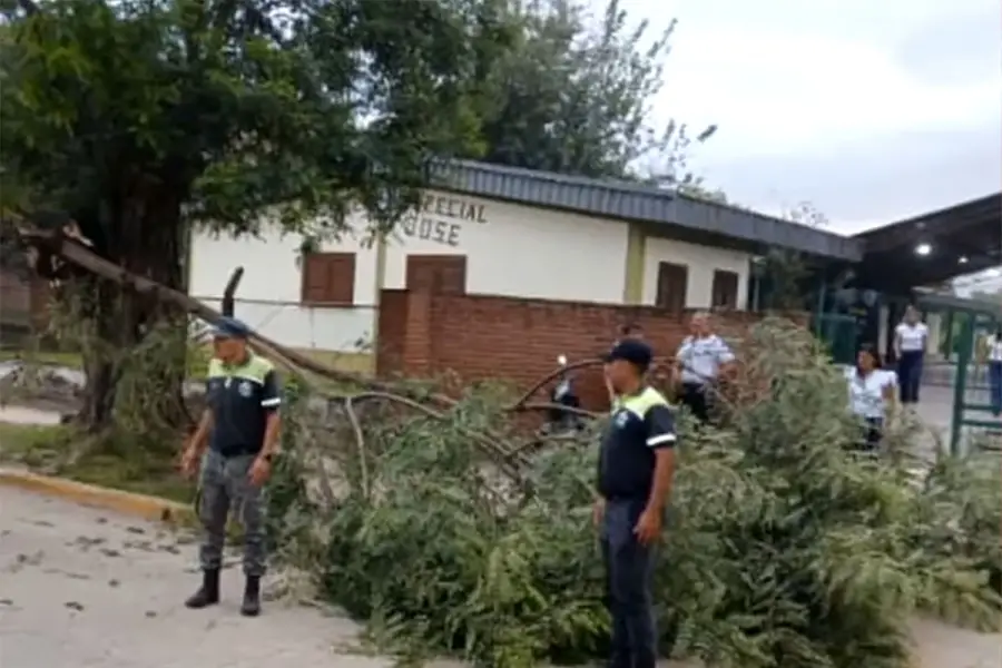 DAÑOS. La caída de árboles afectó el tendido eléctrico.