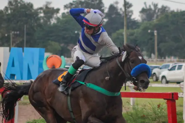 Turf de alto voltaje: diez carreras y un gran candidato para el domingo