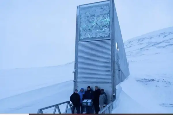 Si hay una amenaza planetaria, el mundo no se quedará sin aceite de oliva