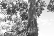 Propuesta musical: una peña para homenajear a las mujeres