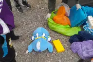 Insólito hallazgo en Salta: llevaba cocaína escondida en un peluche y terminó detenida