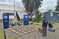 Intentaron pasar más de 50 kilos de marihuana ocultos en encomiendas, pero fueron descubiertos con un escáner