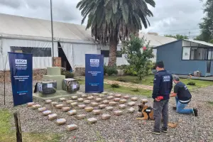 Intentaron pasar más de 50 kilos de marihuana ocultos en encomiendas, pero fueron descubiertos con un escáner