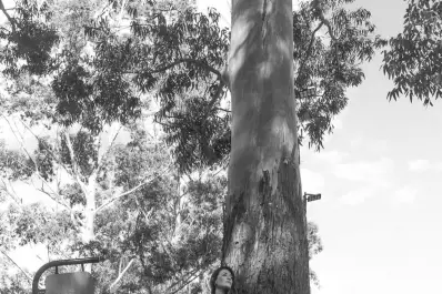 Propuesta musical: una peña para homenajear a las mujeres