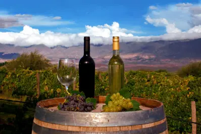 Fiesta Provincial de la Vendimia: vino, brindis, música y degustaciones en Colalao del Valle