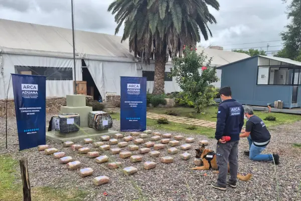 Intentaron pasar más de 50 kilos de marihuana ocultos en encomiendas, pero fueron descubiertos con un escáner