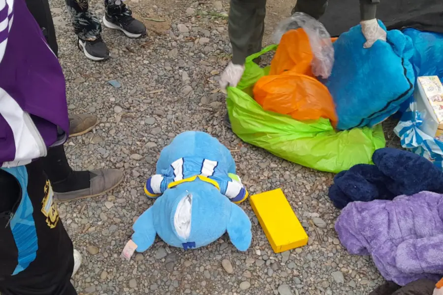 Insólito hallazgo en Salta: llevaba cocaína escondida en un peluche y terminó detenida