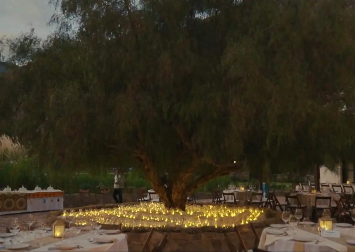 Vino, gastronomía, cultura y música: La Vendimia de El Bayeh se celebra en la Quebrada de Humahuaca