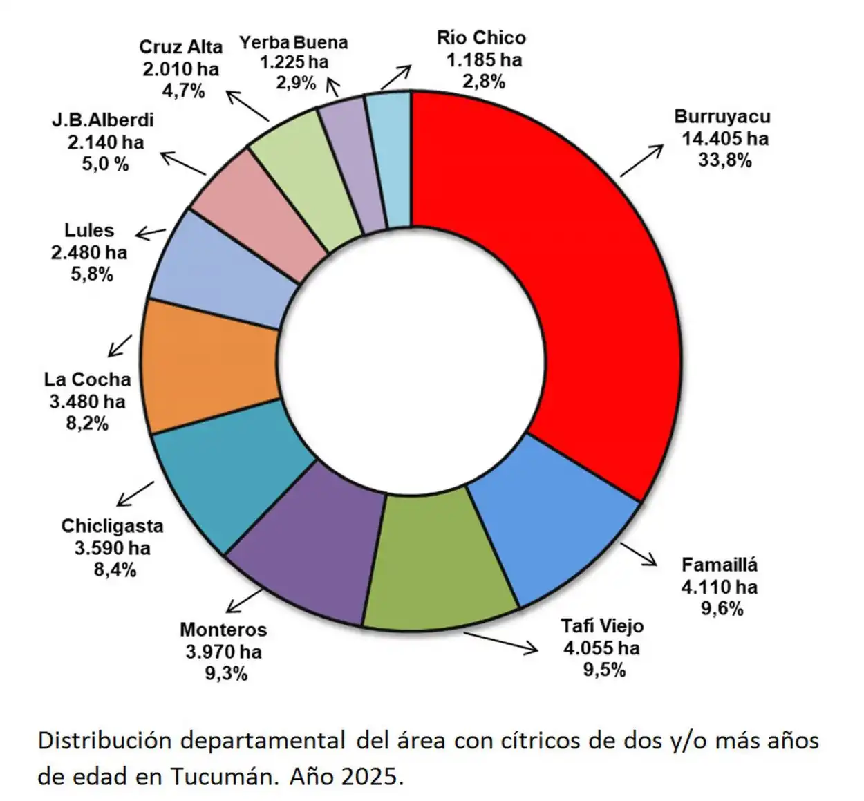 Se busca conocer la superficie destinada al citrus en Tucumán