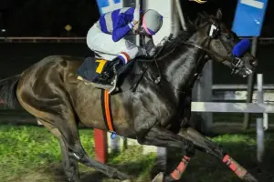 Show Goes On se perfila como la gran figura de la jornada turfística