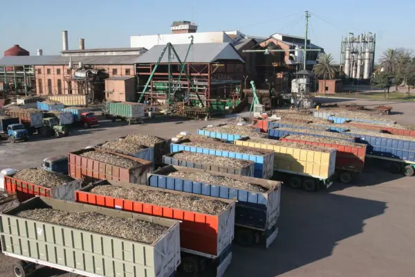 La caña y las exportaciones cerraron el 2025 con un buen balance y perspectivas a futuro