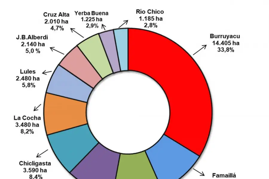 Se busca conocer la superficie destinada al citrus en Tucumán
