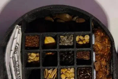 Una combinación de expertos en física espacial, biología, ingeniería y ciencia de materiales