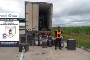 Desde perfumes árabes hasta iPhones: secuestran un camión con mercadería de contrabando en la ruta 9