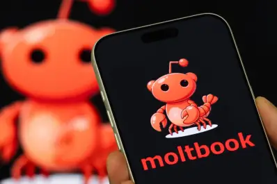 Solo para la IA: Moltbook, la red social creada por el mismo algoritmo y que no admite humanos