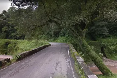 Cortes por caídas de árboles: cuál es el estado de las rutas en Tucumán tras las intensas lluvias