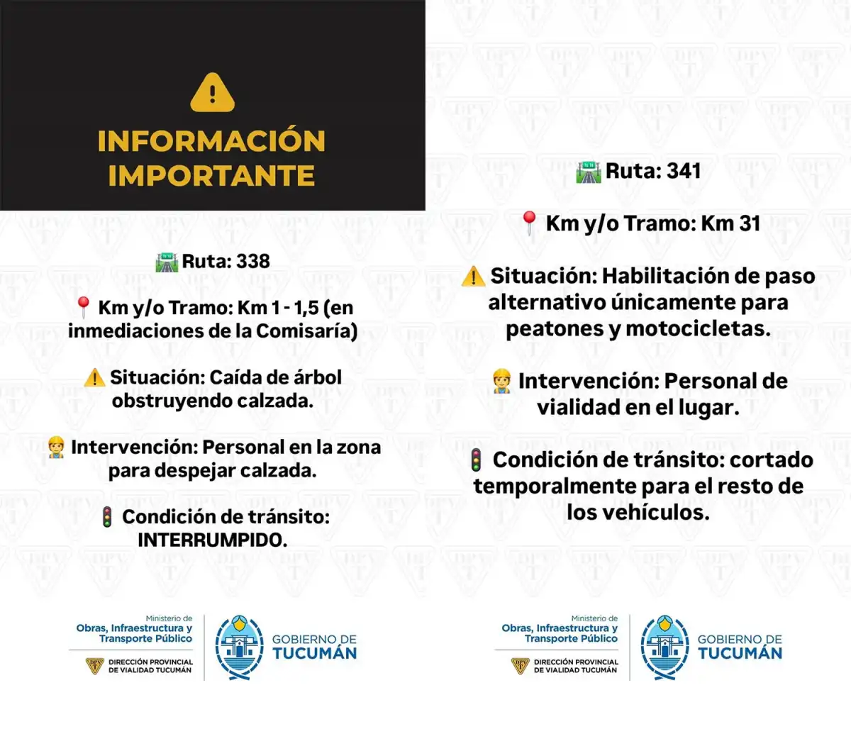 Temporal en Tucumán: hay varias rutas con cortes por derrumbes, árboles caídos y agua en la calzada