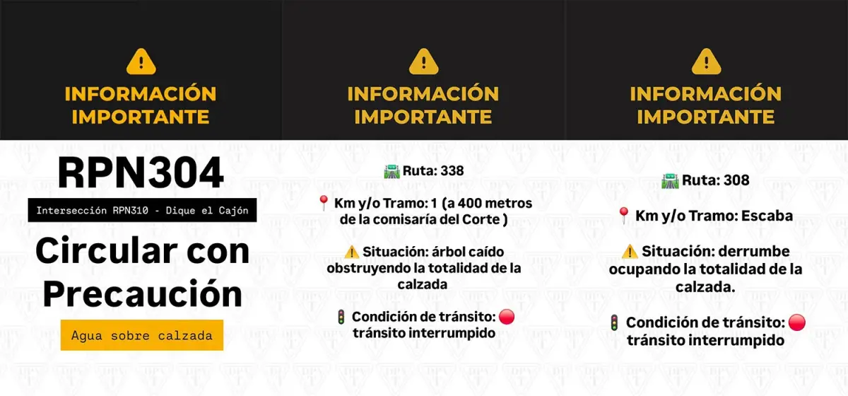 Temporal en Tucumán: hay varias rutas con cortes por derrumbes, árboles caídos y agua en la calzada