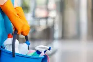 Sueldo de empleadas domesticas: quiénes pueden acceder al bono del 30%