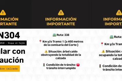Temporal en Tucumán: hay varias rutas con cortes por derrumbes, árboles caídos y agua en la calzada