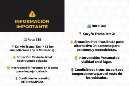 Temporal en Tucumán: hay varias rutas con cortes por derrumbes, árboles caídos y agua en la calzada