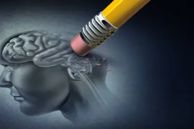 ¿Está en el intestino la clave de la pérdida de memoria con la edad? El hallazgo científico que abre debate