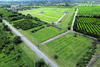 La conexión Fanzolato-Camino del Perú es clave para Yerba Buena
