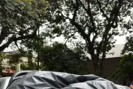 En medio de las inundaciones, estudiantes de la UNT se organizaron para llevar ayuda